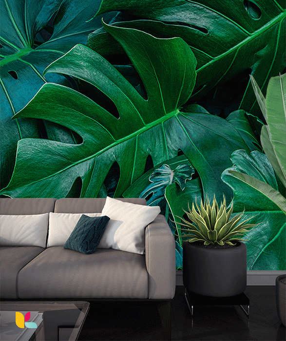 Papier peint feuilles de monstera - Luxe et profondeur tropicale