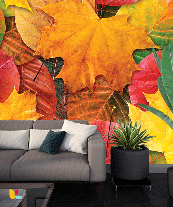 Papier peint feuilles d'automne - Couleurs vibrantes et chaleur naturelle