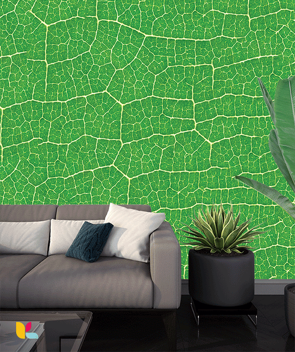 Papier peint feuilles de plantes vertes et veinées en haute définition