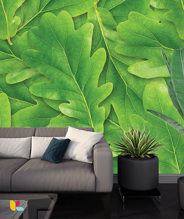Papier peint feuillage vert - Nature et fraîcheur pour votre intérieur