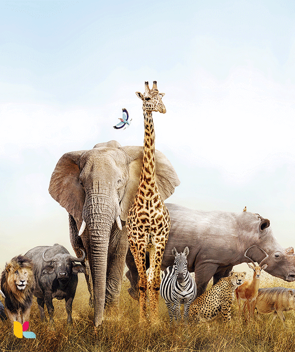 Majesté Sauvage : Les Géants de la Savane