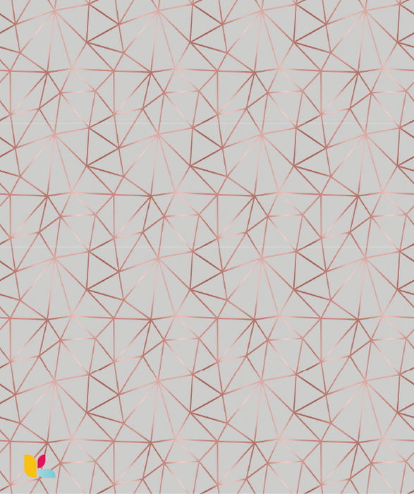 Papier Peint Géométrique Gris Clair et Cuivré - Sobriété et Élégance