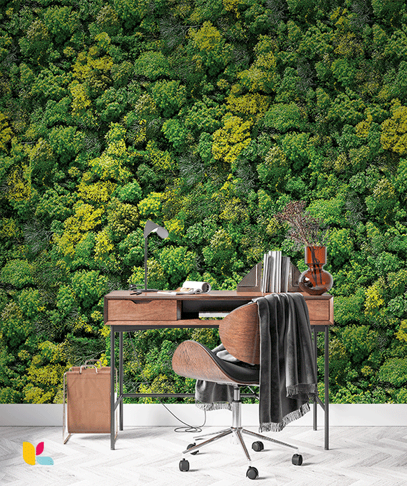 Papier Peint Forêt Luxuriante - Nature Éclatante