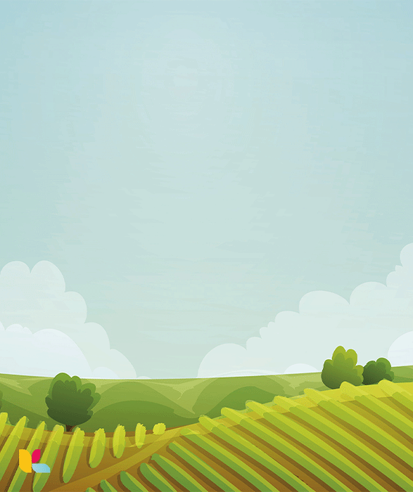 Illustration de Paysage Champêtre – Collines et Champs ensoleillés