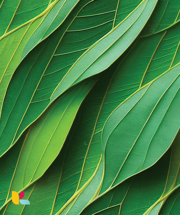 Papier Peint Feuilles Tropiques