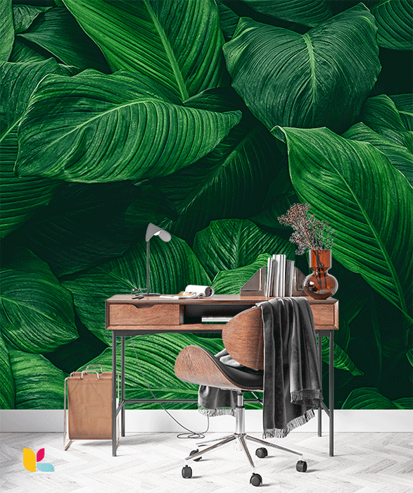 Papier peint jungle tropicale - Feuillages verts et immersion naturelle