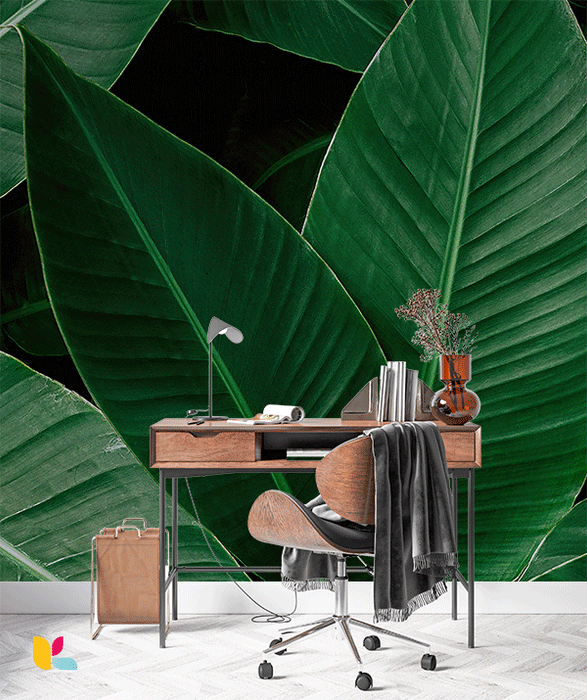 Papier peint grandes feuilles tropicales - Style exotique et moderne