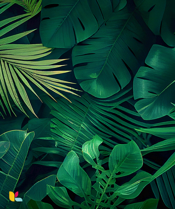 Papier peint jungle tropicale nuit - Évasion exotique et élégance nocturne